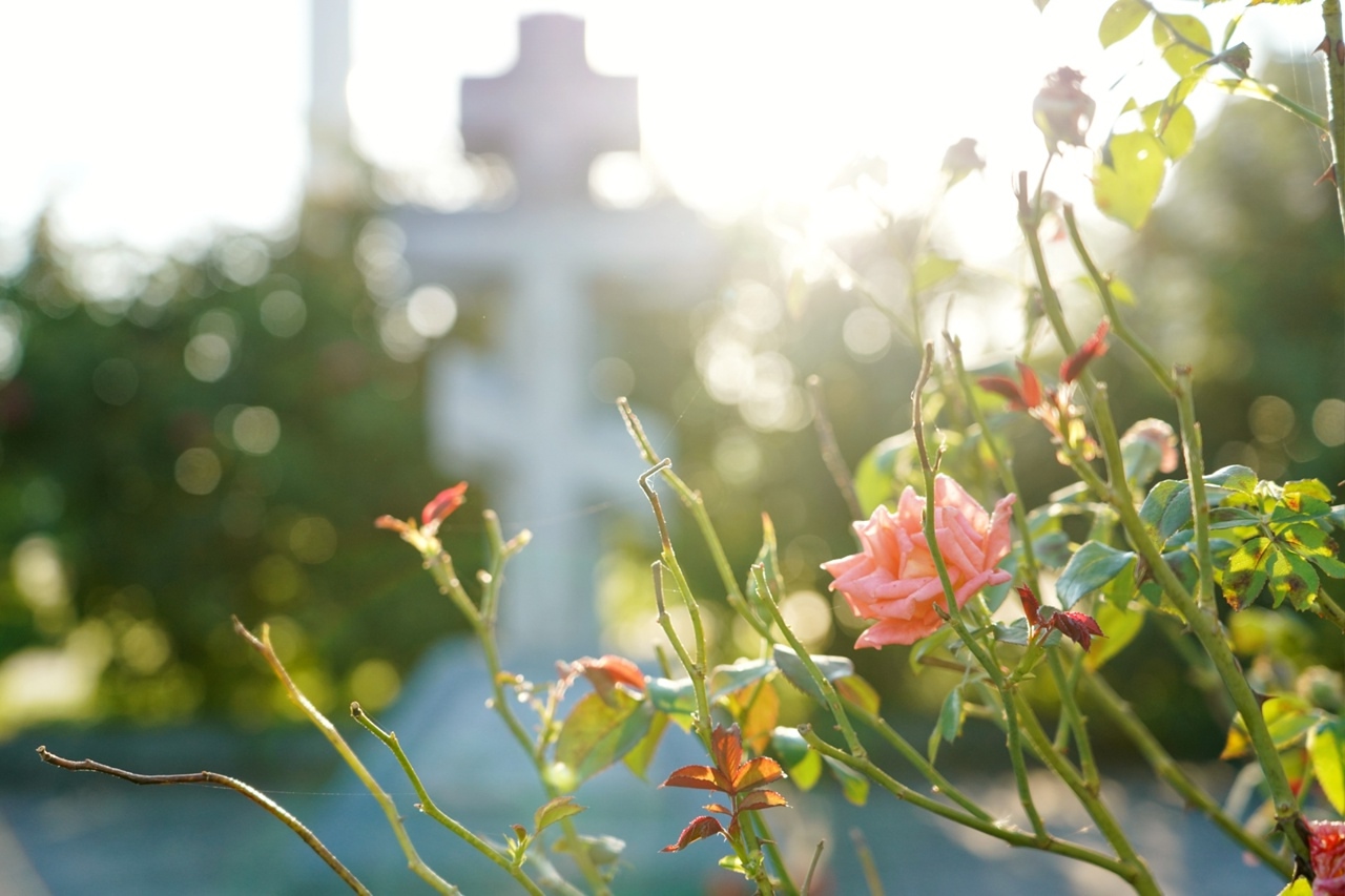 Дыхание утра